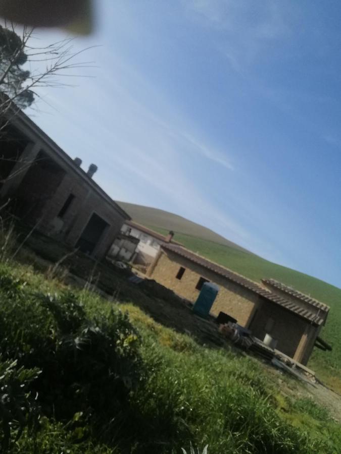 La Quinta Decima Bioagriturismo Fattoria Spedaletto Exterior foto
